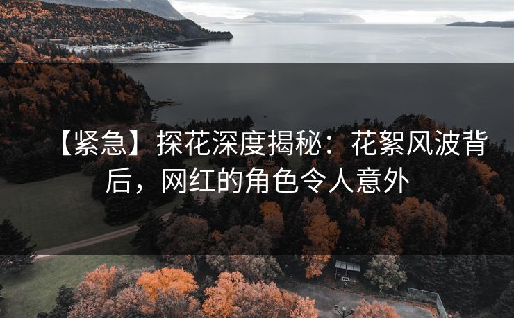 【紧急】探花深度揭秘：花絮风波背后，网红的角色令人意外