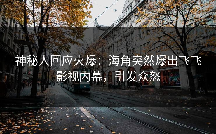 神秘人回应火爆：海角突然爆出飞飞影视内幕，引发众怒