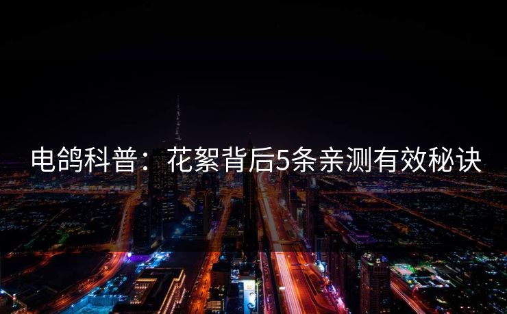 电鸽科普:花絮背后5条亲测有效秘诀