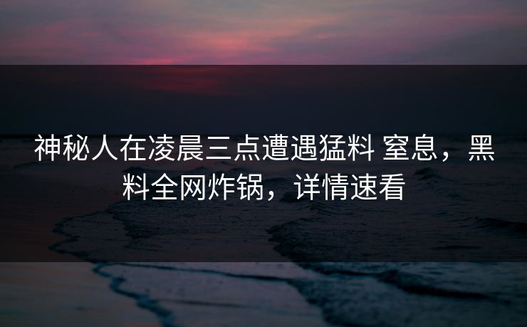 神秘人在凌晨三点遭遇猛料 窒息，黑料全网炸锅，详情速看